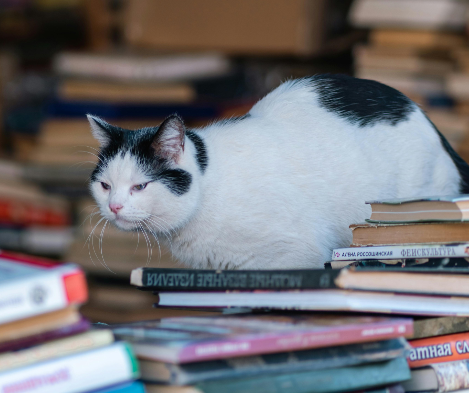 What’s your book-reading goal in 2026?